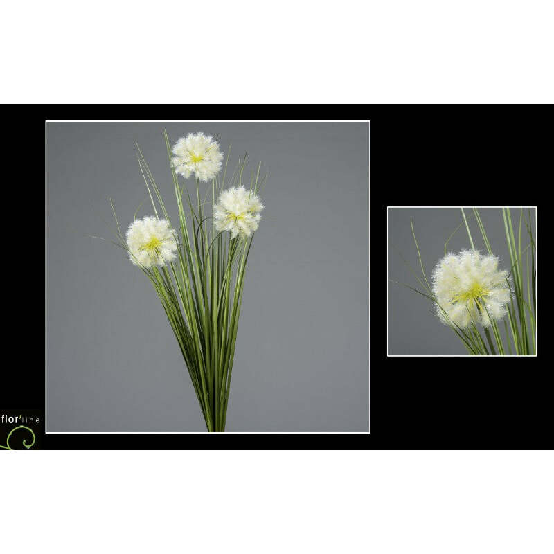 Bouquet d'allium en piquet - vert creme 3 tiges - décoration d'intérieur - H.80cm - S4