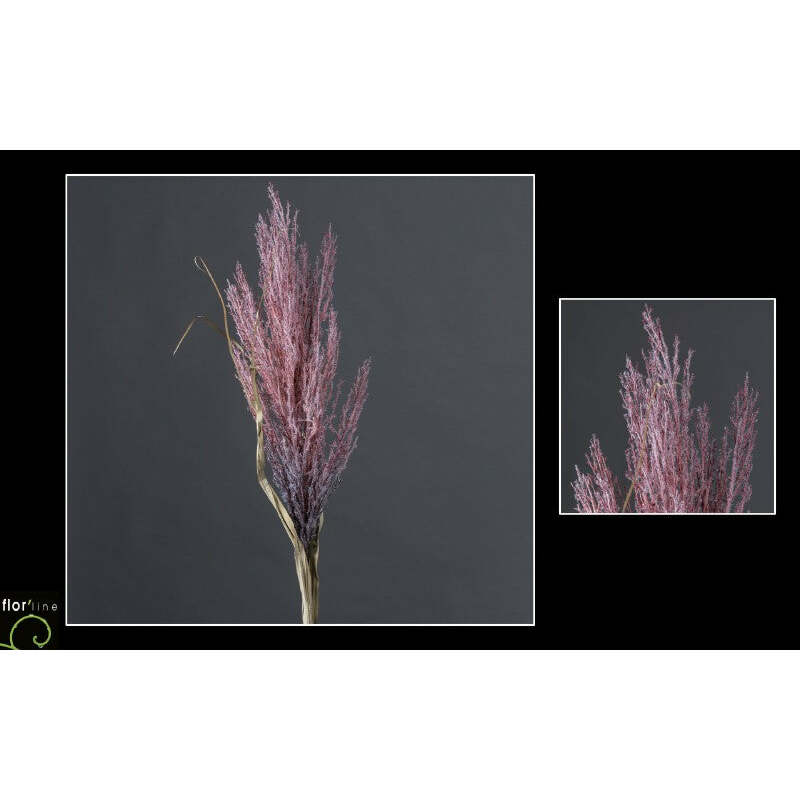 Herbe de la Pampa Pumila artificielle - Collection Pastel prune hauteur 105 cm - NO2