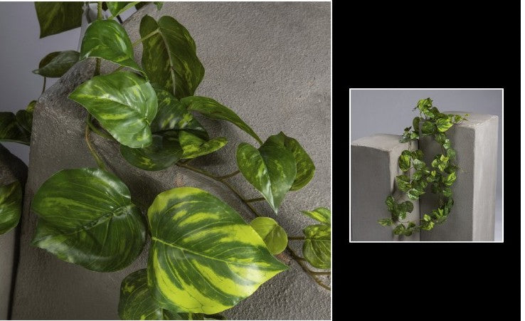 Guirlande artificielle Pothos 97 feuilles - décoration pour intérieur - H.200cm vert/panaché - R1
