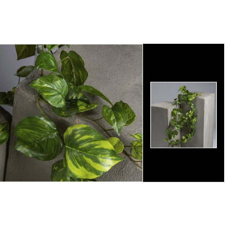 Guirlande artificielle Pothos 97 feuilles - décoration pour intérieur - H.200cm vert/panaché - R1