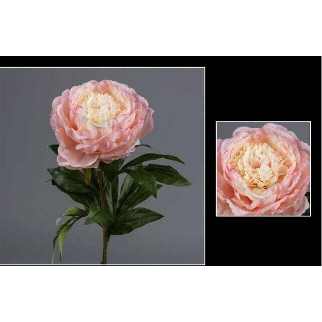 Fleur artificielle Pivoine - décoration d'intérieur - H. 68cm crème/rose - P4
