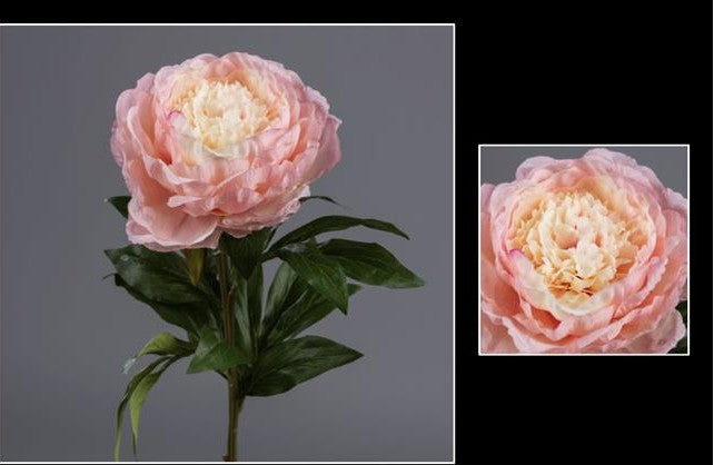 Fleur artificielle Pivoine - décoration d'intérieur - H. 68cm crème/rose - P4