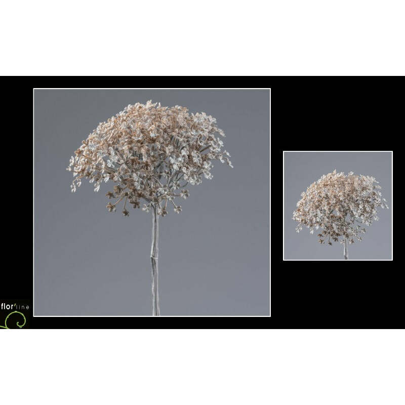 Branche artificielle de Sedum - Collection Pastel beige hauteur 62 cm - NO2