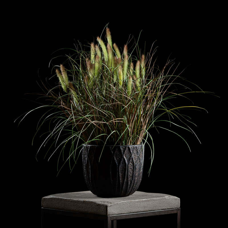 Graminé pennisetum en pot vert/brun - décoration d'intérieur - H.80cm