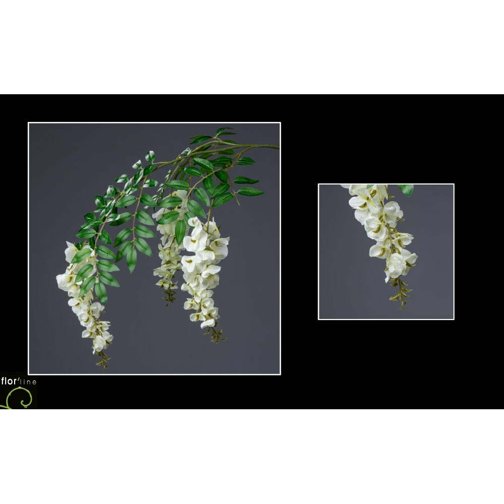 Branche de glycine crème 3 fleurs - décoration d'intérieur - H.73cm - S4