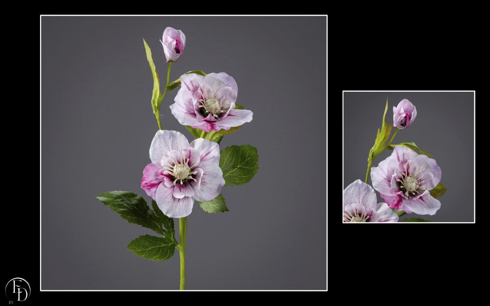 Hellébore artificielle crème et rose - H.57 cm – Douceur romantique et charme naturel - R2