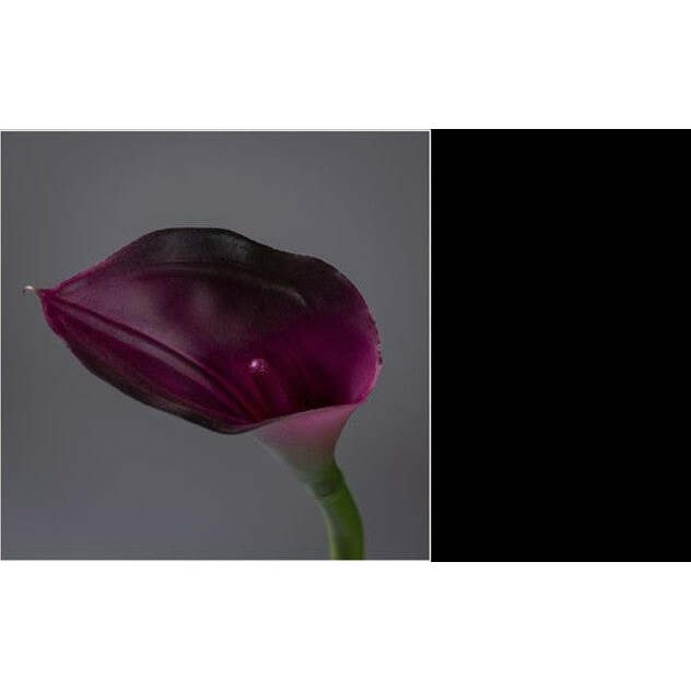 Fleur artificielle Arum - décoration d'intérieur - H. 65cm bordeaux - P4