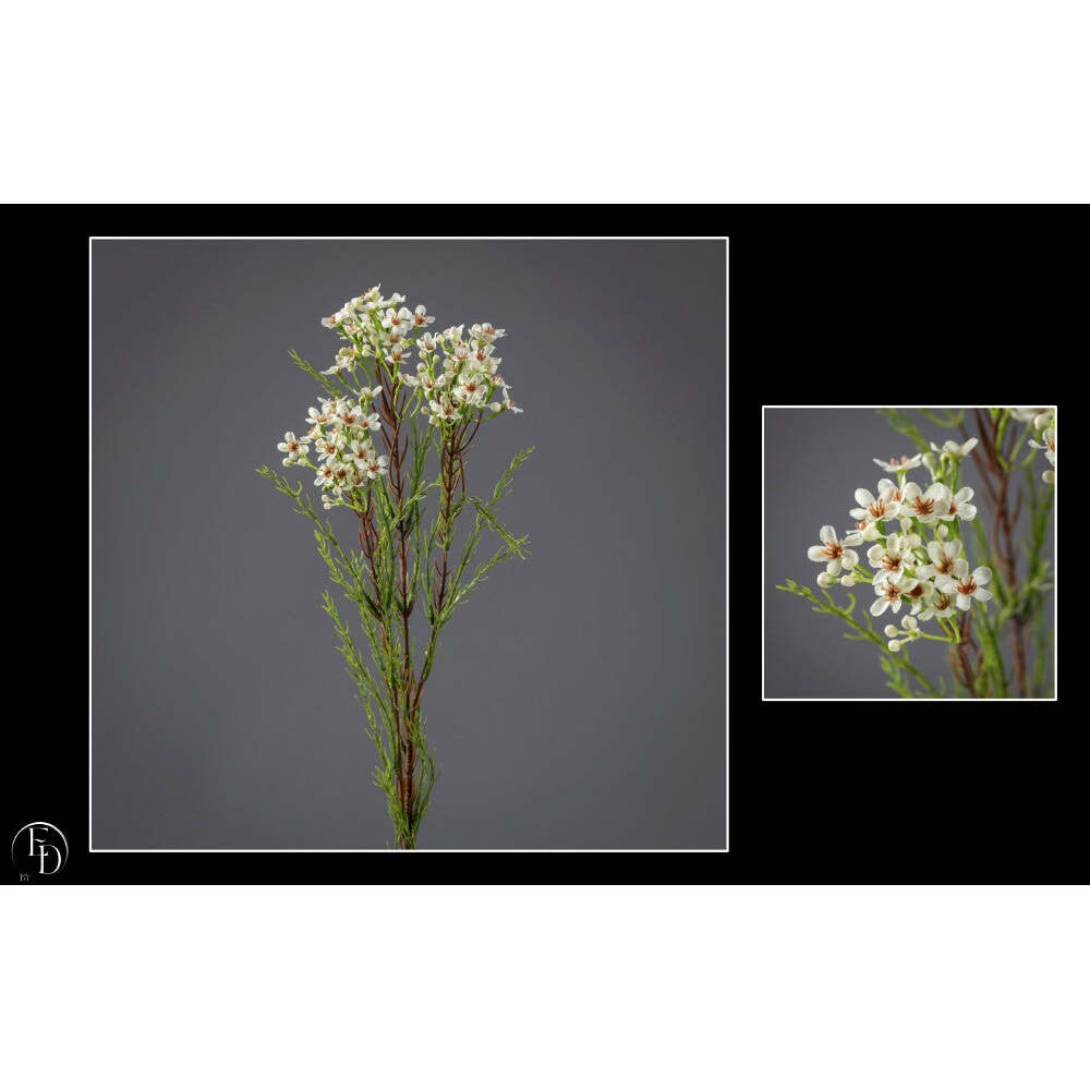 Tige de waxflower artificielle - décoration d'intérieur - H.78 cm - creme Q3