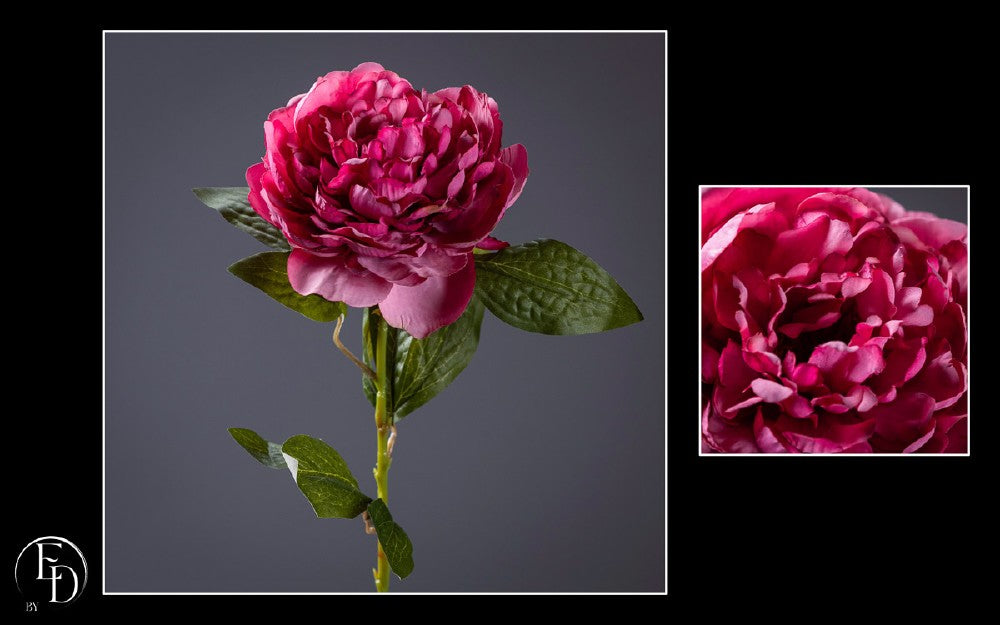 Pivoine artificielle fuchsia 64 cm – Fleur généreuse et éclatante S3