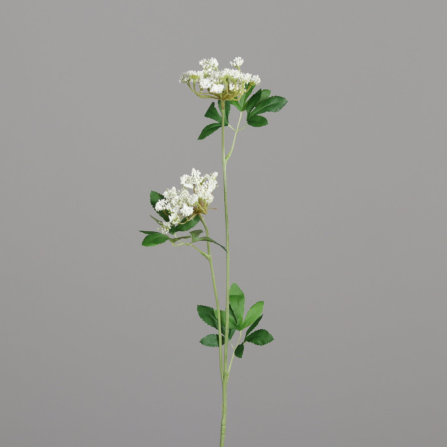Fleur artificielle d'Aneth 2 têtes fleurie - 70 cm - couleur crème