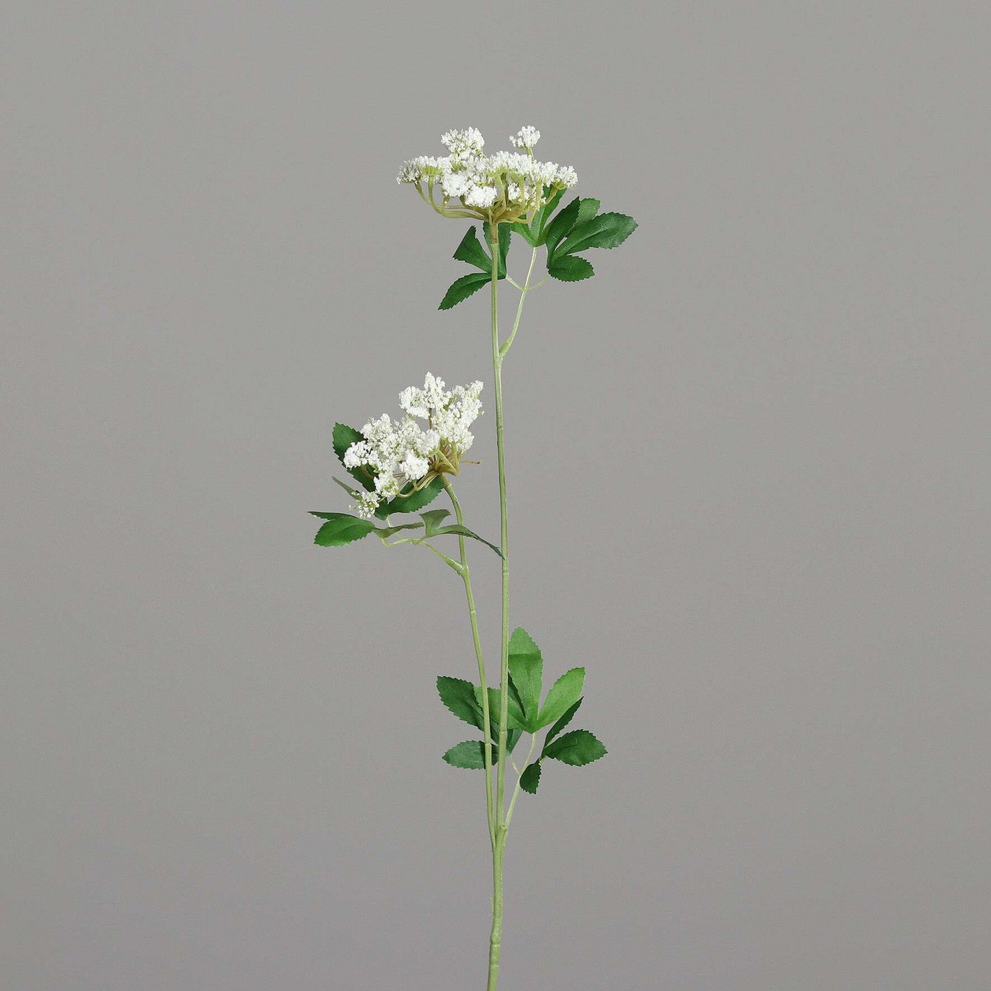 Fleur artificielle d'Aneth 2 têtes fleurie - 70 cm - couleur crème Q3