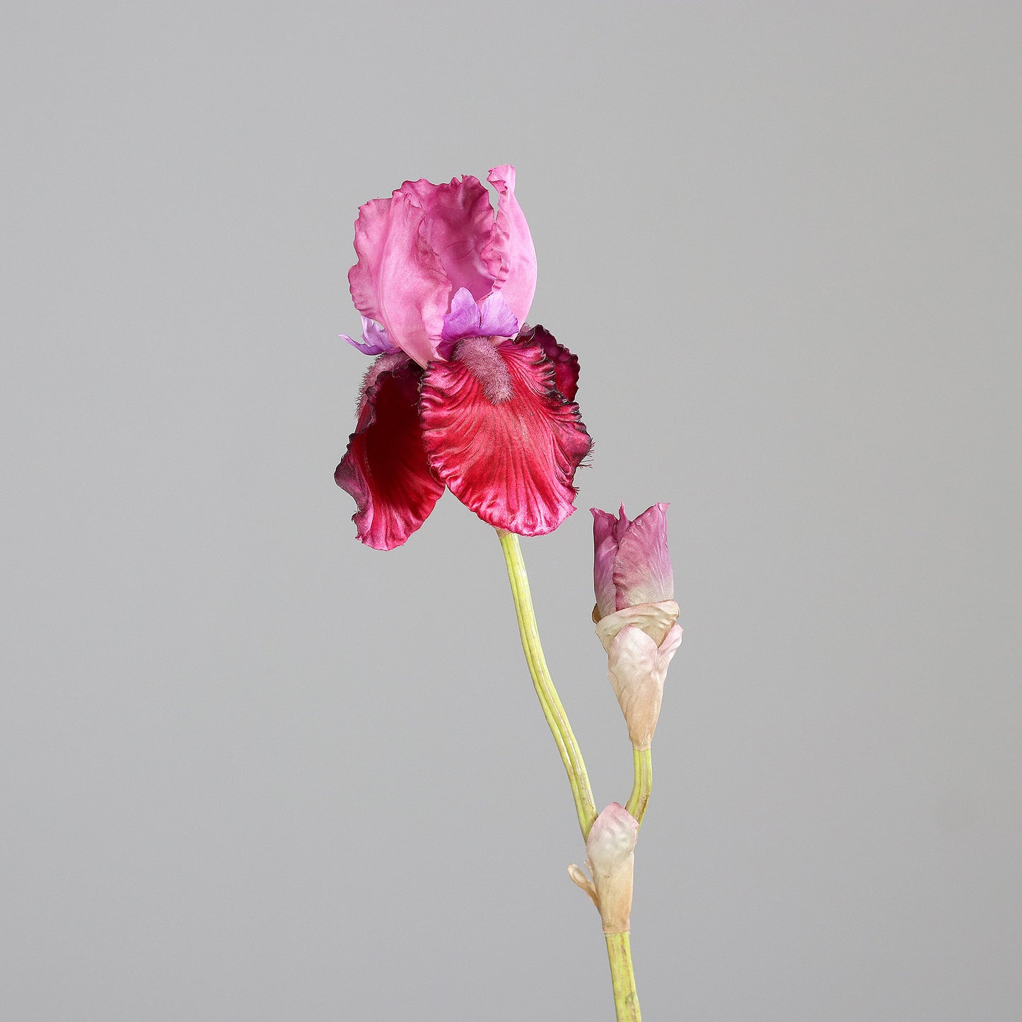 Fleur artificielle Iris artificiel fuchsia nuancé - composition bouquet - H.80 cm - 1 fleur et 1 bouton - MAG