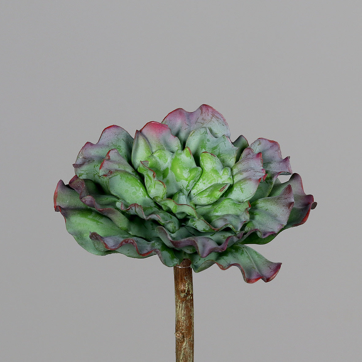 Plante artificielle Succulente - Plante grasse d'intérieur - H.16cm
