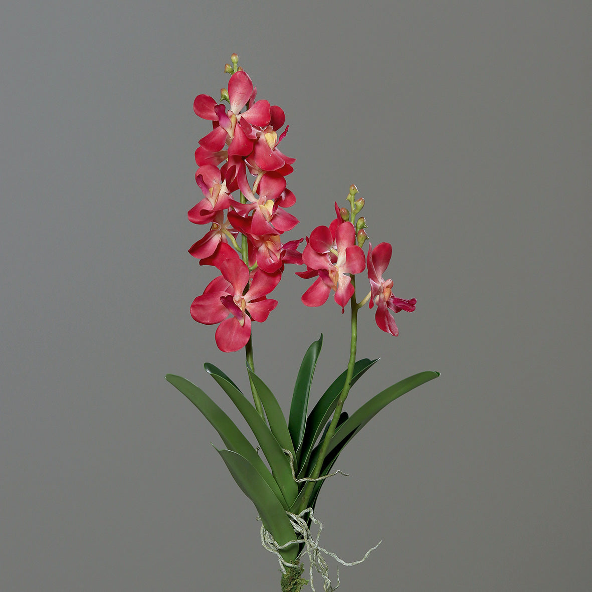 Fleur artificielle Orchidée Vanda feuillage et racines H.63cm rose vif