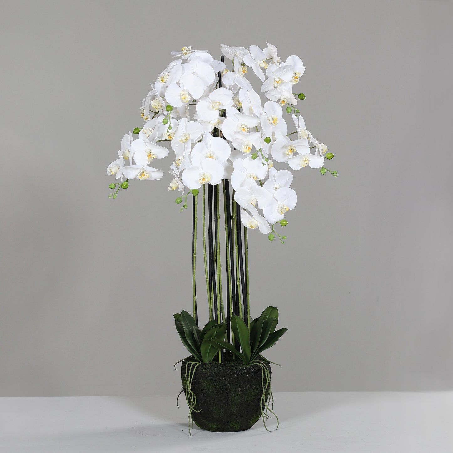 Fleur artificielle Orchidée Phalaénopsis en motte - plante d'intérieur - H.110cm crème - P4