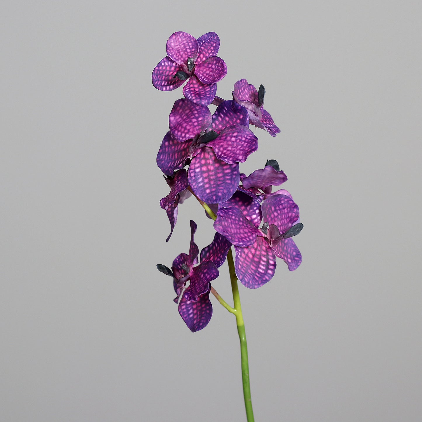 Fleur coupée Orchidée Vanda Cymbidium - création bouquet artificiel - H.60cm - Mauve