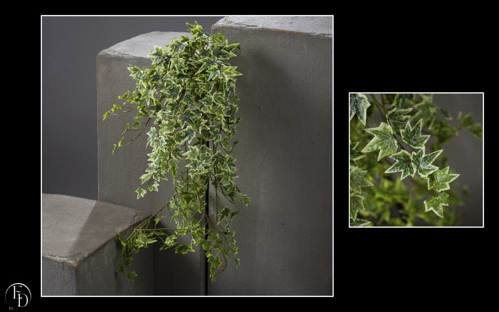 Chute de lierre vert panaché - décoration d'intérieur - H.81 cm - S4