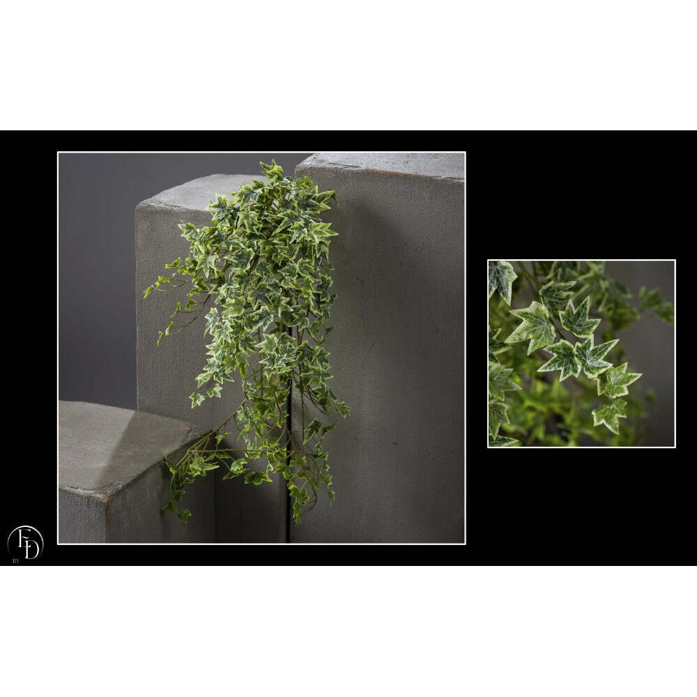 Chute de lierre vert panaché - décoration d'intérieur - H.81 cm - S4