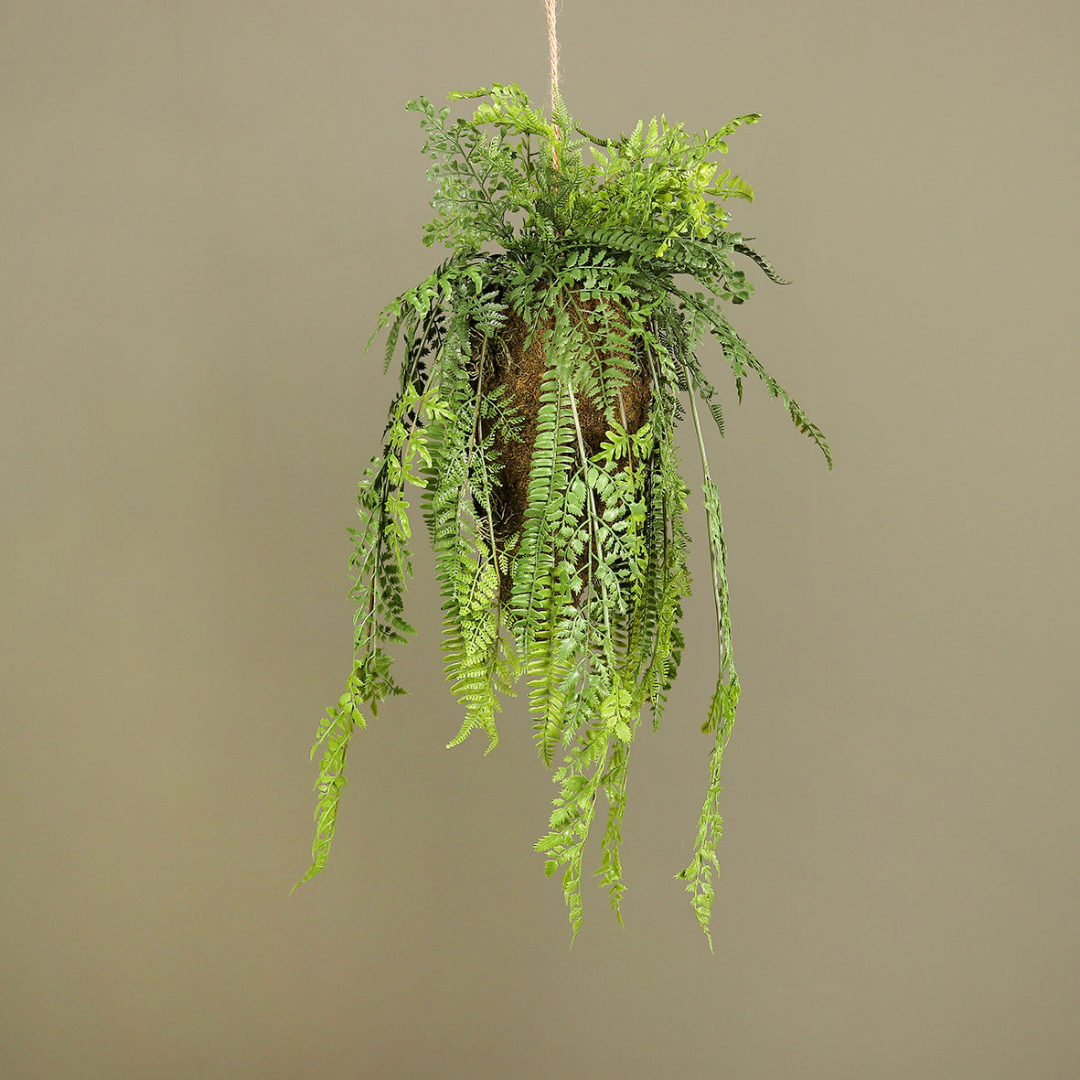 Suspension Boule de fougères artificielles XL - H.77 cm – Grande décoration végétale retombante - Z4