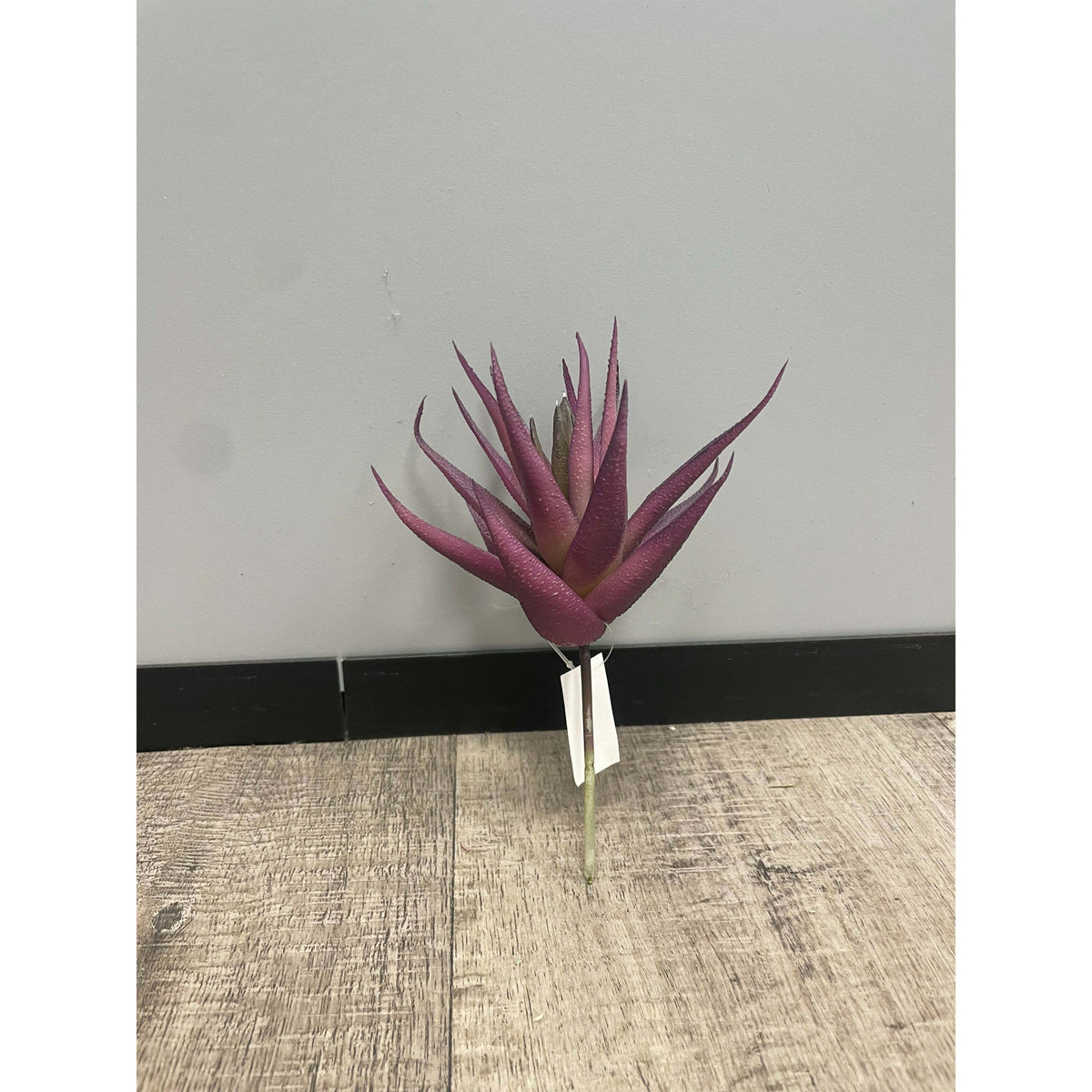 Plante artificielle Aloe en piquet - décoration intérieure - H.18cm - violet - S4