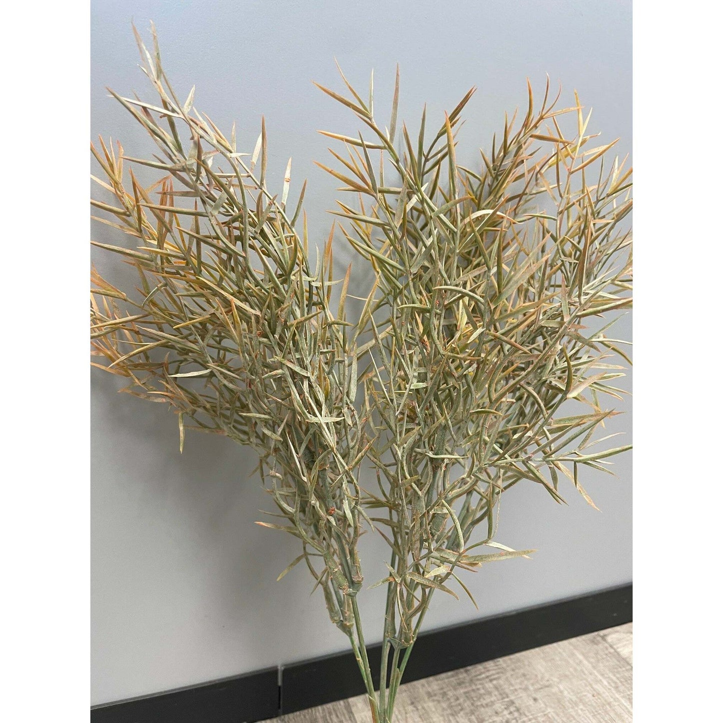 Plante artificielle Asparagus buisson en piquet - intérieur - H.40cm - marron - Q3