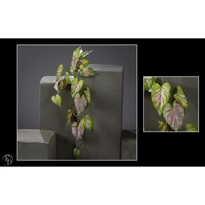 Chute de Caladium artificielle en piquet - décoration d'intérieur - H.91cm - Crème / vert et rose - P4