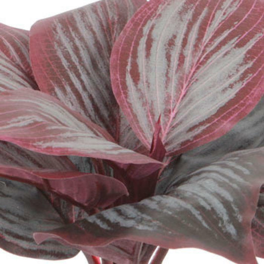 Plante artificielle Hosta mini en piquet - plante d'intérieur - H.26cm - pourpre R2