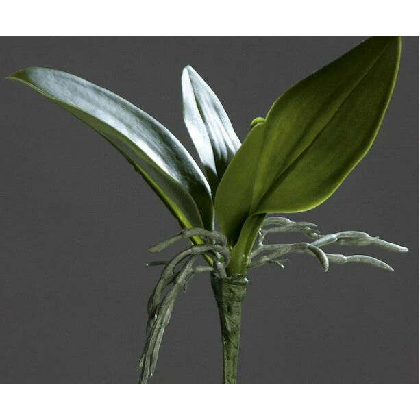 Feuillage artificiel Feuilles d'orchidée - plante en piquet - H.25cm vert - S3