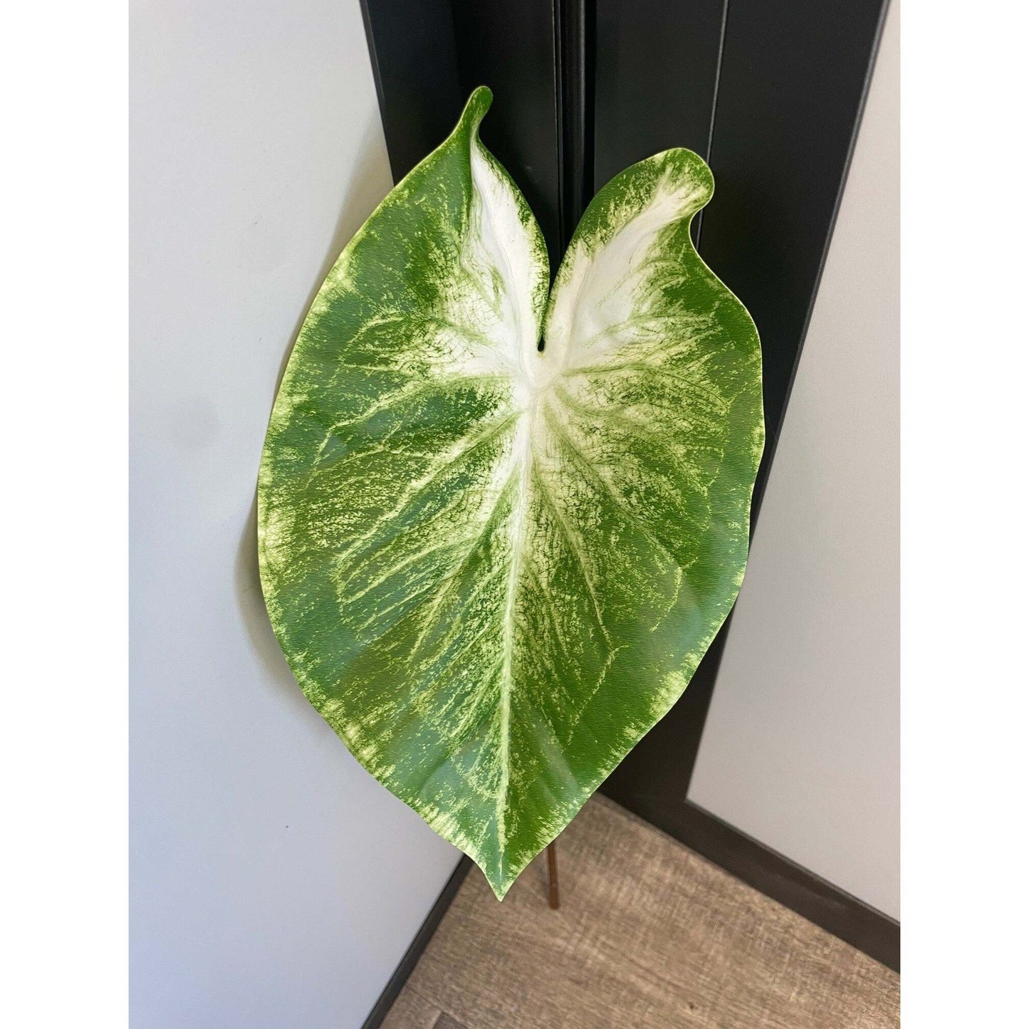 Feuille artificielle de Caladium Polyfoam - décoration d'intérieur - H.60cm - Vert panaché - Q4