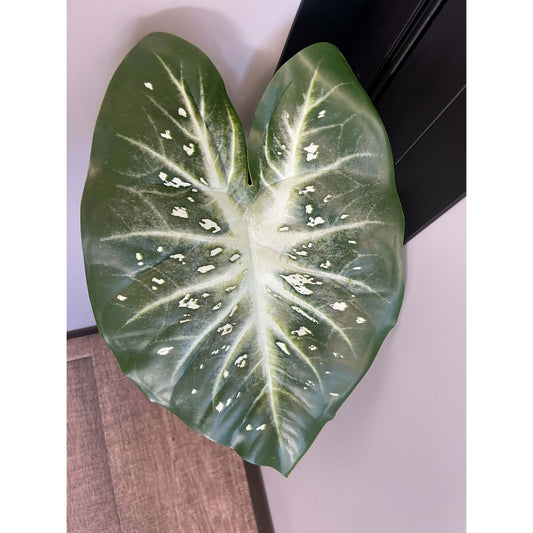 Feuille artificielle de Caladium Polyfoam - décoration d'intérieur - H.60cm - Vert foncé et pois blancs panaché - Q44