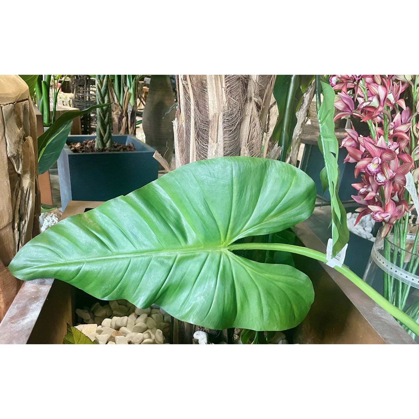 Feuille artificielle de Caladium géante - décoration d'intérieur - H.70cm vert S1