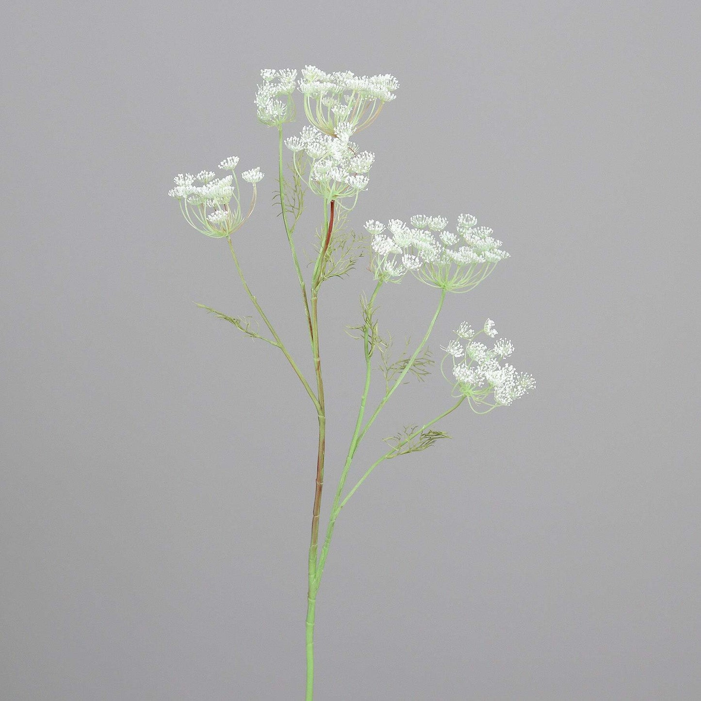 Fleur artificielle d'Aneth 7 têtes géante fleurie - 107 cm - couleur crème