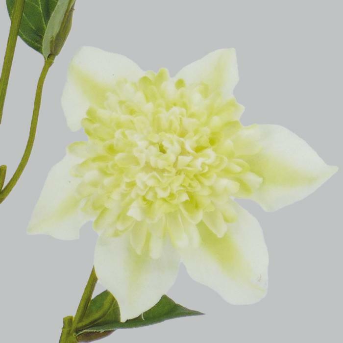 Fleur artificielle Clématite 2 fleurs et 2 boutons - décoration d'intérieur - H.64cm - Blanche