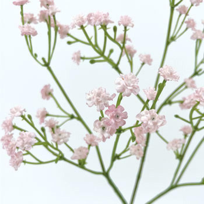 Fleur artificielle Gypsophile - composition bouquet - H.55cm - Rose Q3