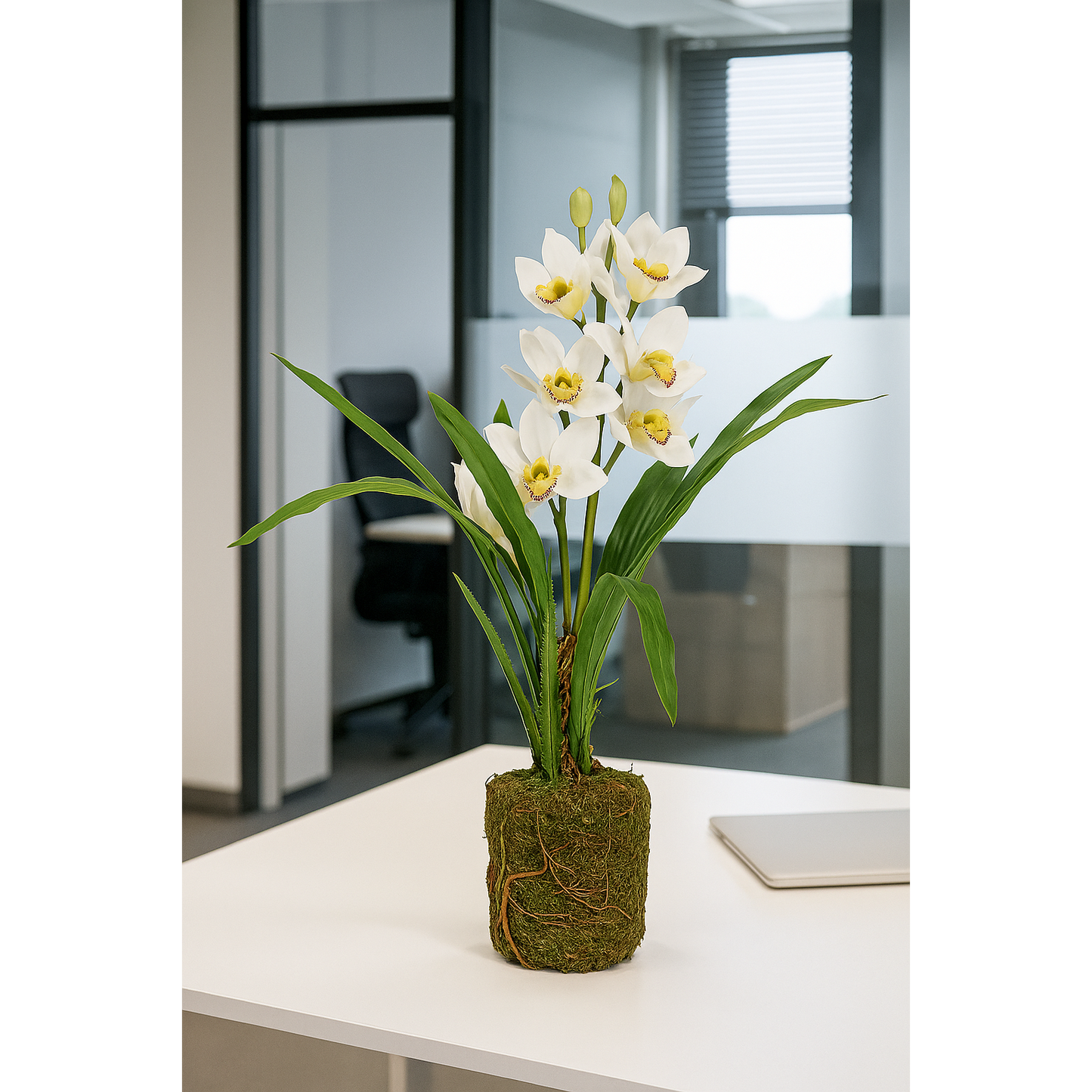 Orchidée artificielle cymbidium en motte - Feuillage intérieur - H.62cm blanc S3