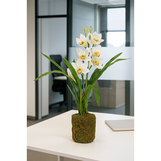 Orchidée artificielle cymbidium en motte - Feuillage intérieur - H.62cm blanc S3