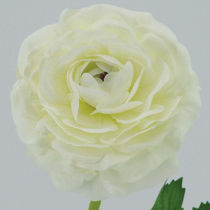 Renoncule blanche en tige - 1 fleur et 1 bouton - 61cm R2
