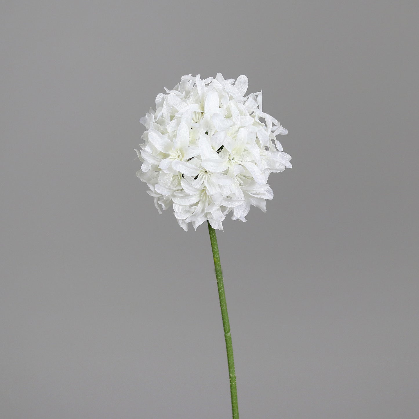 Fleur artificielle Allium tige d'ail d'ornement - composition bouquet - H.68cm blanc