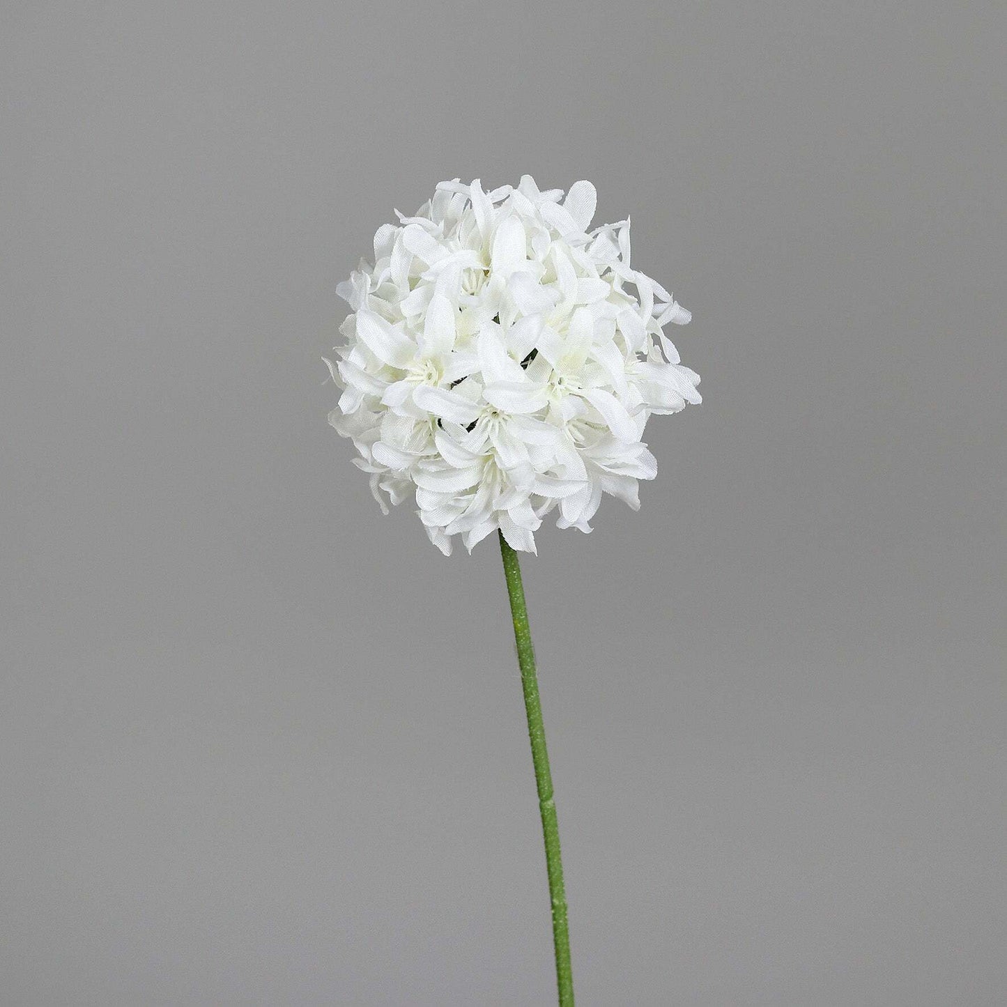 Fleur artificielle Allium tige d'ail d'ornement - composition bouquet - H.68cm blanc P2