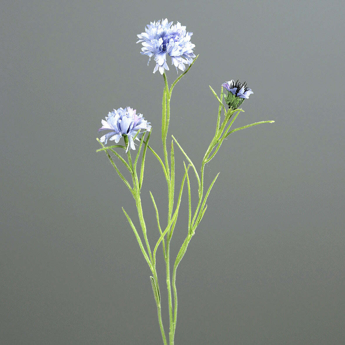 Fleur artificielle bleuet 3 fleurs - composition bouquet - H.64cm bleu clair S3
