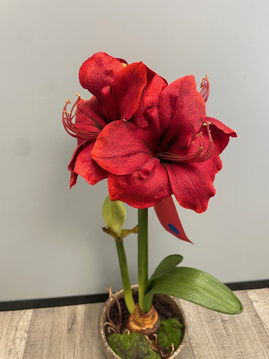 Amaryllis artificielle en pot - décoration intérieure - H.69cm - rouge