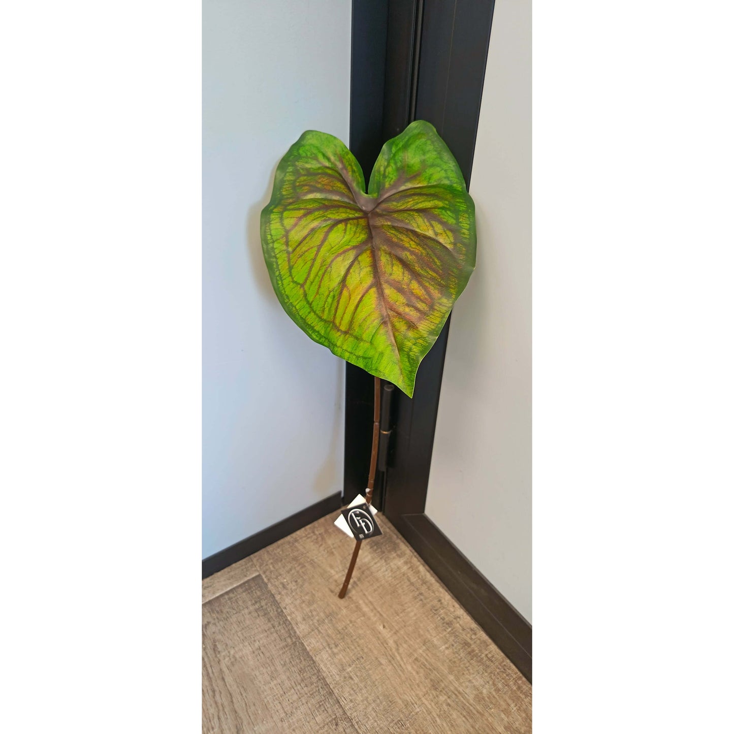Feuille artificielle de Caladium Polyfoam - décoration d'intérieur - H.60cm - Vert foncé et marron panaché - P3