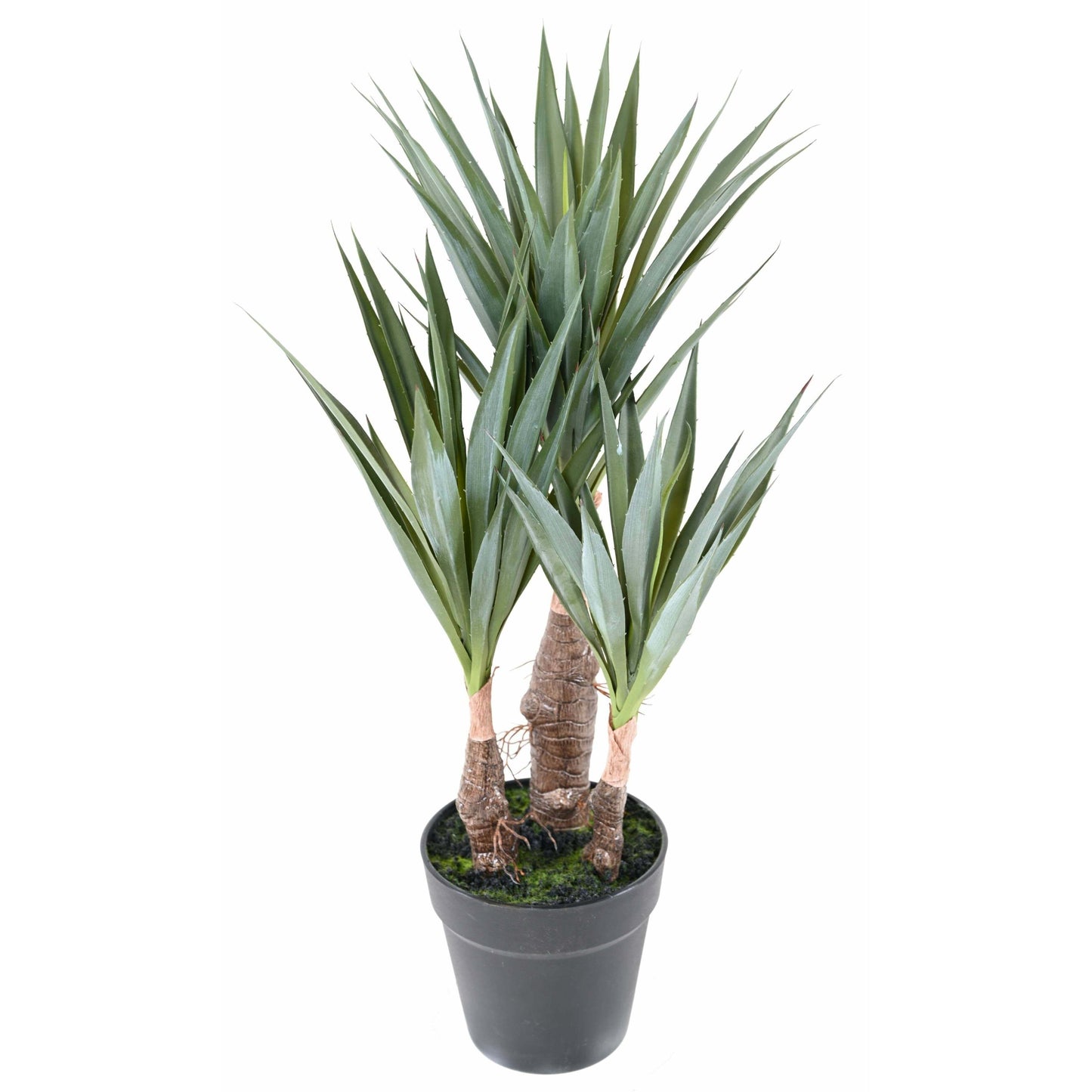 Plante artificielle Agave Sisal - cactus pour intérieur - H.55cm A