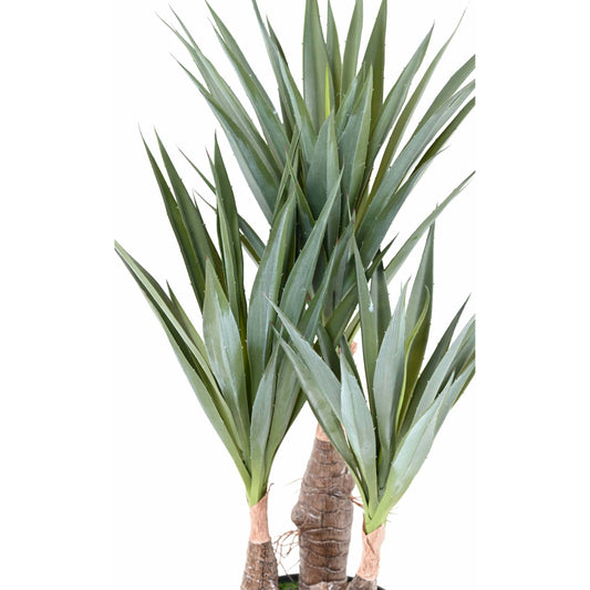 Plante artificielle Agave Sisal - cactus pour intérieur - H.55cm A