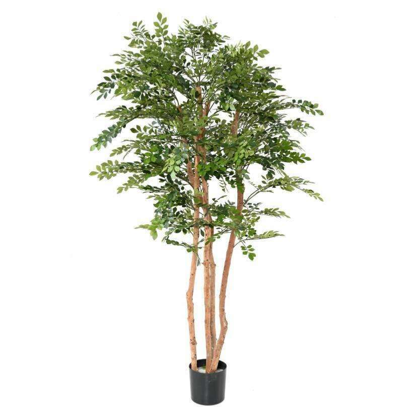 Arbre artificiel Acacia eco - plante d'intérieur - H.200cm vert