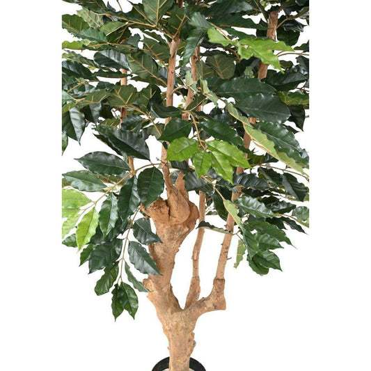 Arbre artificiel Caféier 5 branches - plante d'intérieur - H.180cm vert