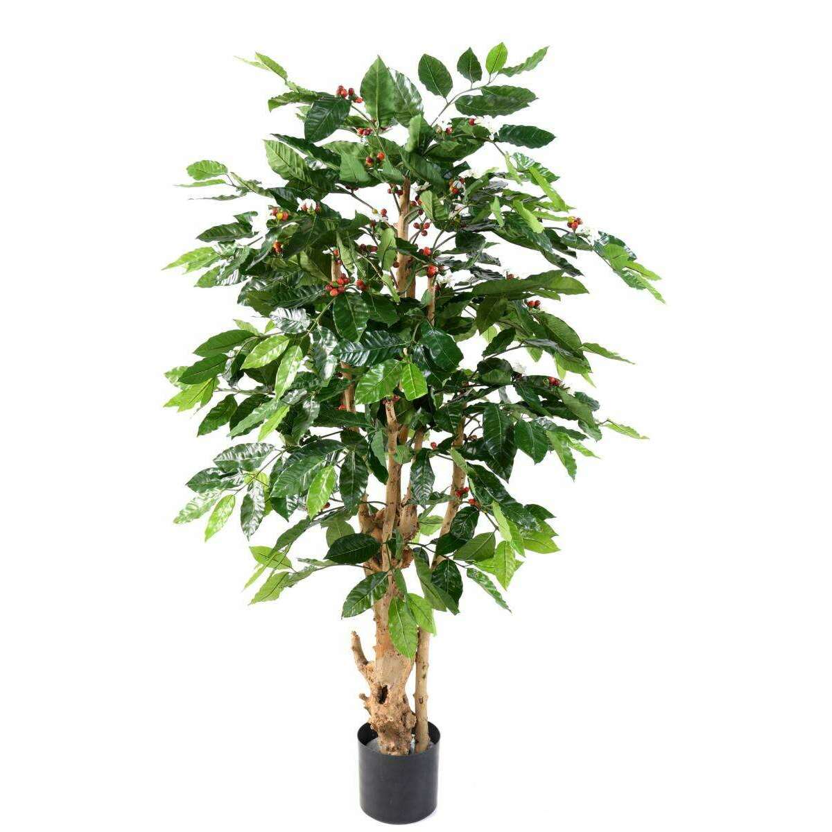 Arbre artificiel Caféier fleurs tronc noueux - plante d'intérieur - H.150cm