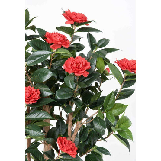 Arbre artificiel Camélia du japon 8 fleurs - intérieur - H.130cm rouge