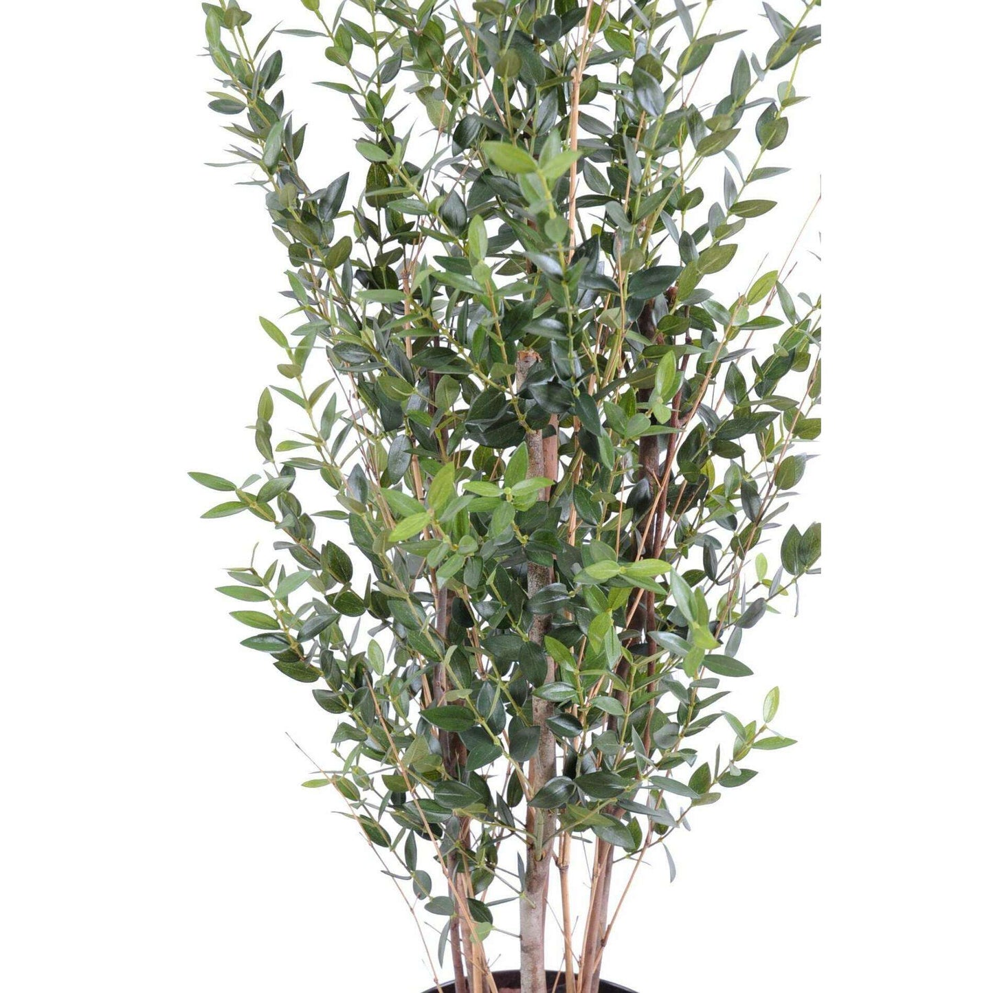 Arbre artificiel Eucalyptus buisson - plante synthétique d'intérieur - H.130cm
