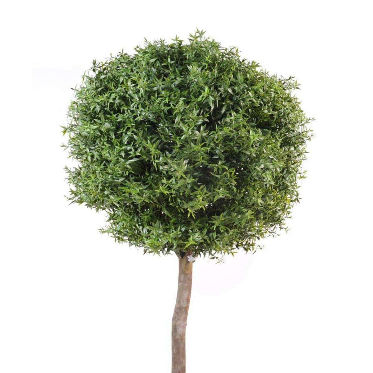 Arbre artificiel Eucalyptus Plast tige - intérieur extérieur - H.110cm vert